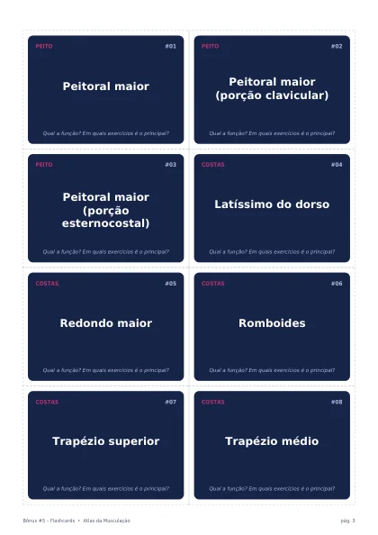 Bônus 05: Flashcards de revisão (página interna)