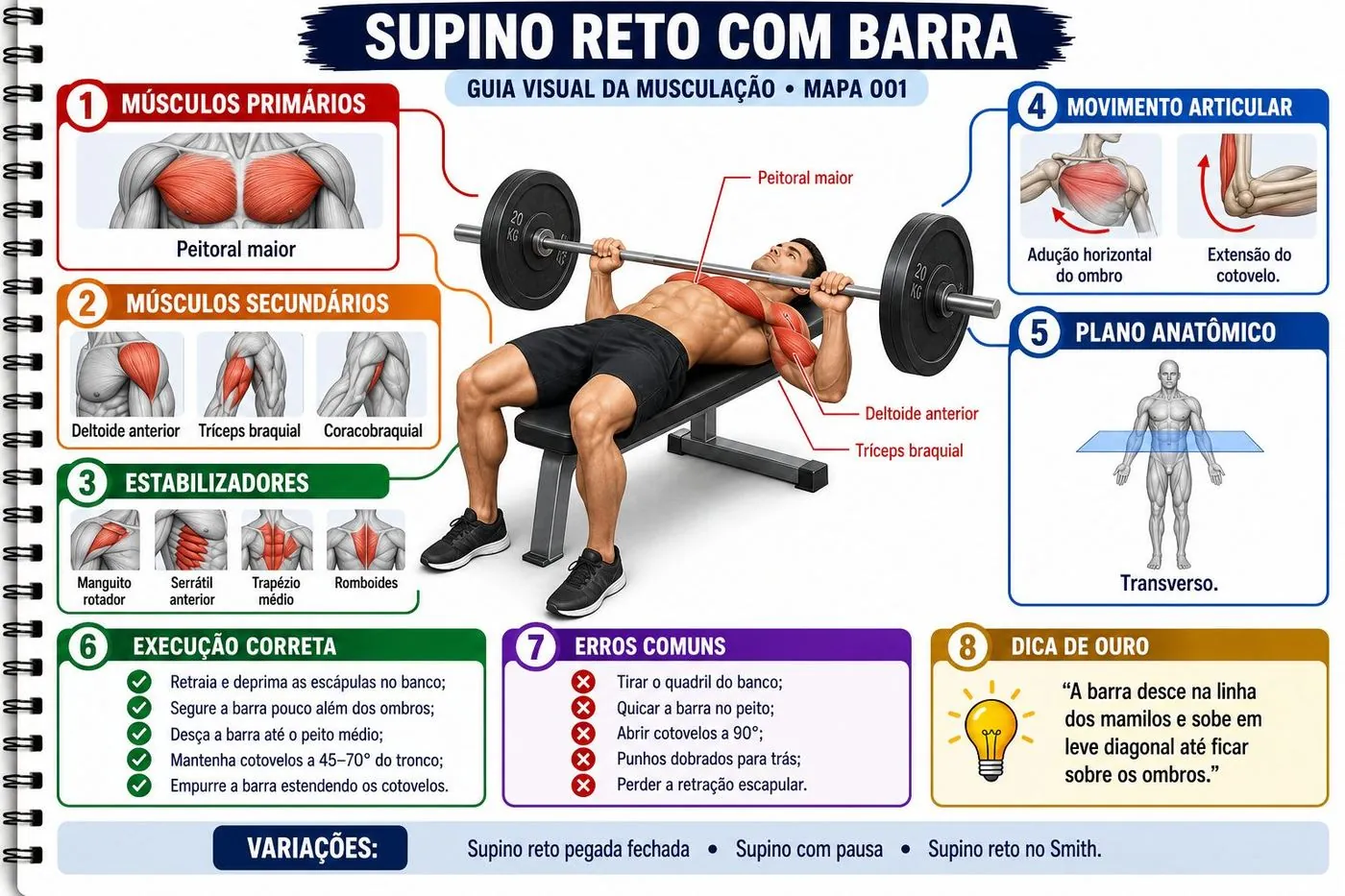 Mapa do supino reto com barra